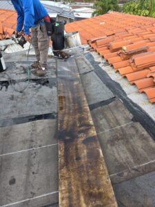 WhatsApp-Image-2025-07-09-at-15.17.18_7f25a809