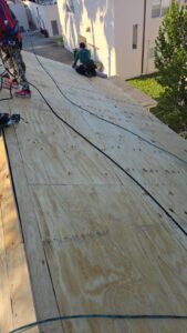 WhatsApp-Image-2025-07-09-at-15.17.32_5a4aa058