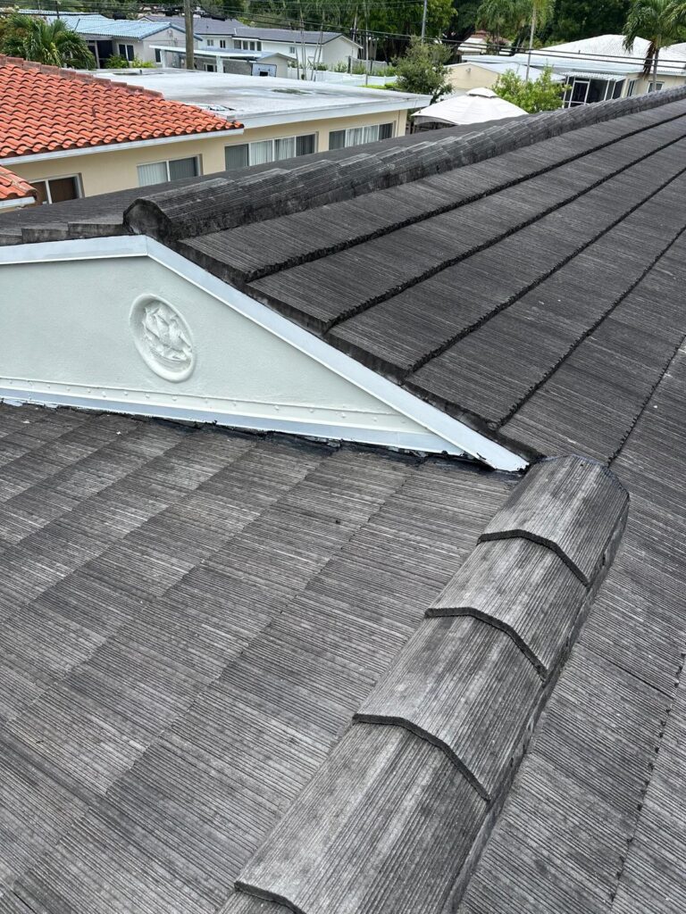 Roof Restored
