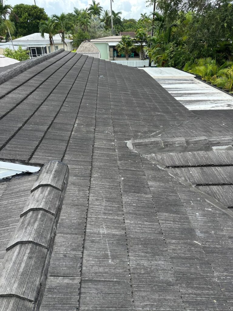 WhatsApp Image 2025-10-07 at 12.00.59_94ce0207