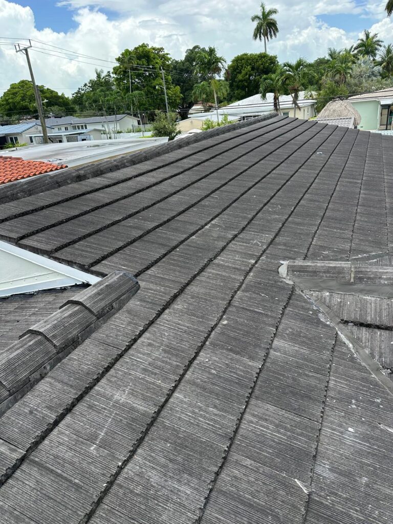 WhatsApp Image 2025-10-07 at 12.00.59_b2aac09c